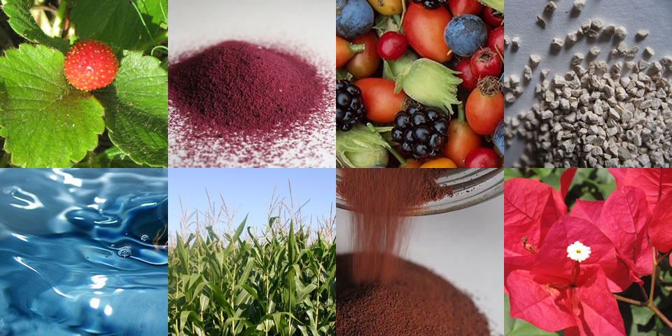 project management multi